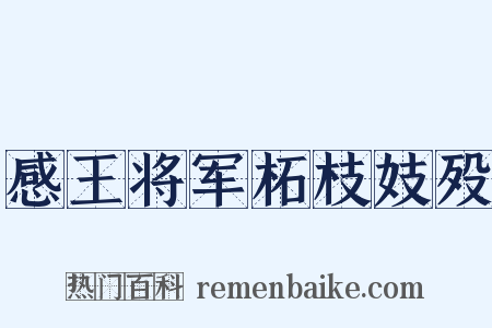 感王将军柘枝妓殁是什么意思的图片